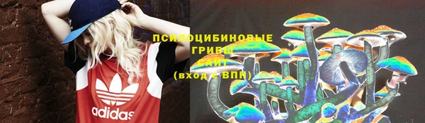 spice Абдулино