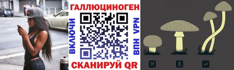 Псилоцибиновые грибы GOLDEN TEACHER  Поворино 